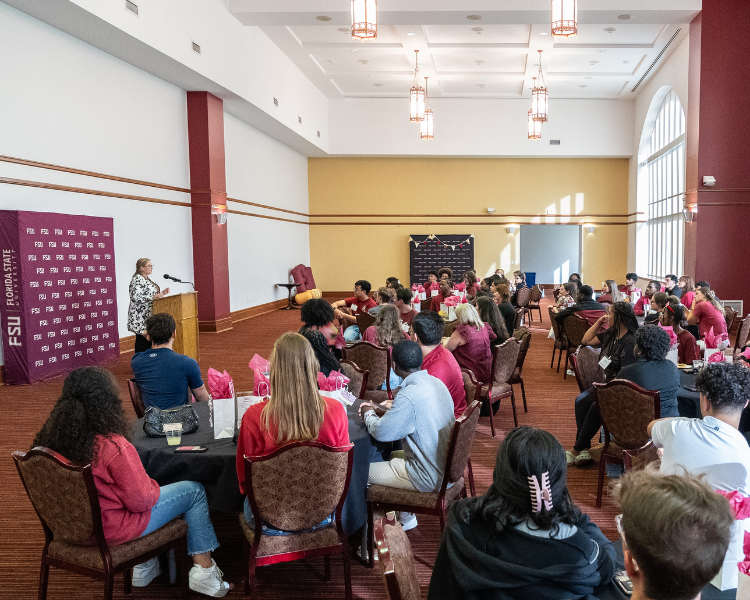 750(w)x600(h), preferred ratio 5:4